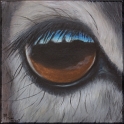 Augenblick einer Damhirschkuh; Acryl auf Leinwand;
30 x 30 cm